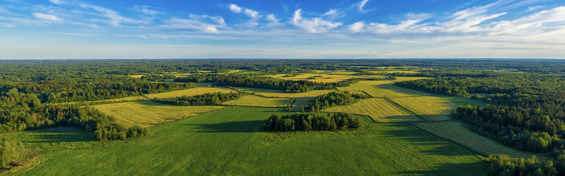 Land Management - Quorum